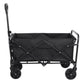 Folding Beach Wagon Trolley