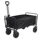 Folding Beach Wagon Trolley