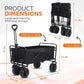 Folding Beach Wagon Trolley