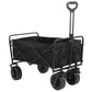 Folding Beach Wagon Trolley
