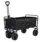 Folding Beach Wagon Trolley
